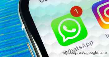 WhatsApp for iOS update improves media previews and Disappearing Messages