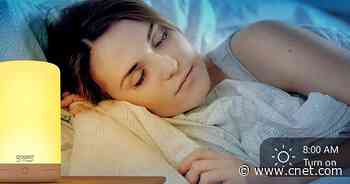 This Gosund table lamp is smarter than my dog and now costs just $15     - CNET