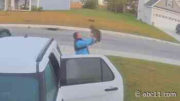 'I knew immediately I was in trouble': North Carolina couple describes coming face-to-face with rabid bobcat in driveway