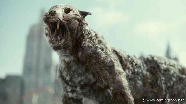 Army of the Dead: What Excites Us About Zack Snyder’s Zombie Epic