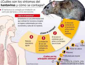 Minsa reporta tres casos de hantavirus en Los Santos, Herrera y Chepo - Crítica Panamá