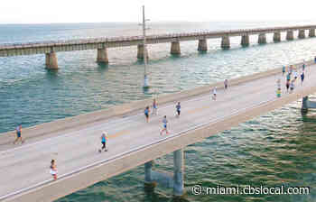 Annual Florida Keys Seven-Mile Bridge Run Staged With Coronavirus Protocols - CBS Miami