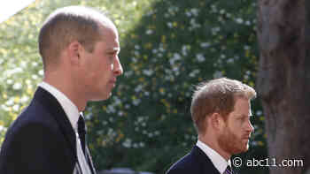 Harry, William seen chatting together after Prince Philip's funeral