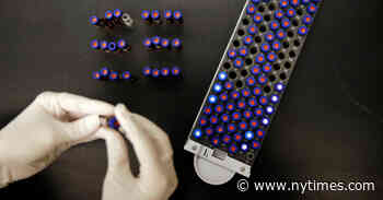 Biden Administration Ends Limit on Fetal Tissue Research