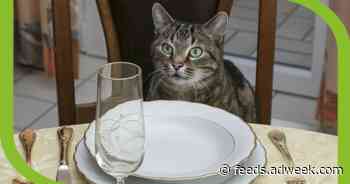 Fancy Feast Wants You to Eat Like Your Cat