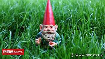 Gnome shortage: Lockdown and Suez canal blockage blamed