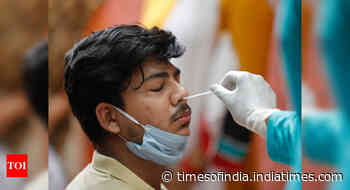 Coronavirus: At 2.6 lakh, cases jump 11.5%, first two-digit spike in 4 days - Times of India