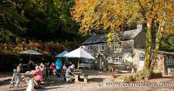 Best A30 food stops in Cornwall for families: Local's guide to top lunch spots - Cornwall Live