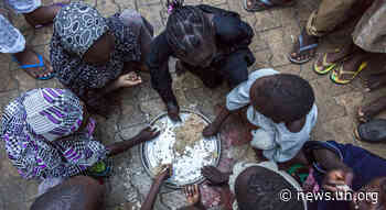 Soaring food prices, conflicts driving hunger, rise across West and Central Africa: WFP - UN News