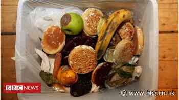 Derry and Strabane: Council extends food and garden waste pilot scheme - BBC News