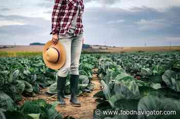 Europe boosts organic supply, but what about demand? 'Consumers dictate the food chain' - FoodNavigator.com