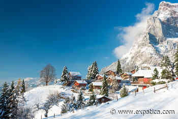 Calls grow louder for pesticide-free food and water - Expat Guide to Switzerland - Expatica Switzerland