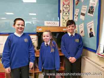 Primary pupils take part in 'fin'tastic Trout river project