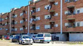 Ardea, "guerra" agli occupanti abusivi: sgomberati gli alloggi Ater di via dei Fenicotteri - IlFaroOnline.it