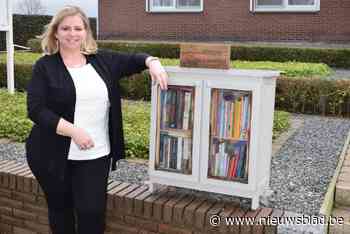 Boekenkastjes zijn kleine bibliotheken