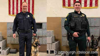 Two K-9 Teams Graduate From Pittsburgh Police K-9 School