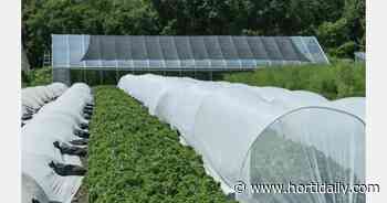 Rhode Island supports local food production with 160,000 grant - hortidaily.com