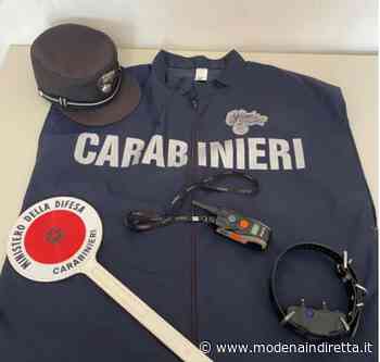 Modena, addestra il cane con scosse elettriche: condannato a pagare 1.500 euro - modenaindiretta.it