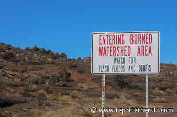 Northern Colorado Fireshed Collaborative plans forest health webinar Wednesday - Loveland Reporter-Herald