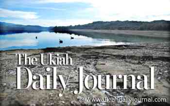 Another Voice: Jackson Forest is a healthy timber area - Ukiah Daily Journal