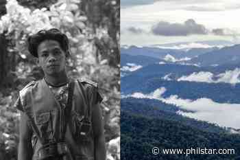 Art raffle raises funds for forest rangers in Philippines' biggest critical habitat - Philstar.com