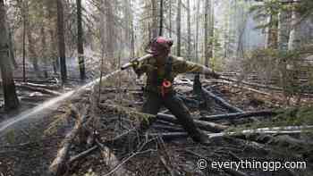 Wildfire danger increased to moderate in Grande Prairie Forest Area - EverythingGP