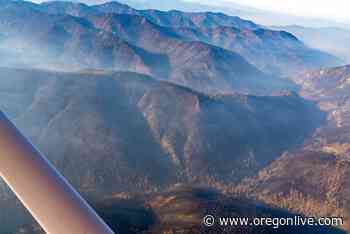 Environmental groups sue to stop post-fire logging in Santiam State Forest - OregonLive