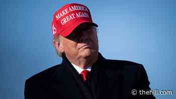 Trump knocks Biden timetable for Afghanistan withdrawal