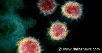 Texas reports 1,823 new coronavirus cases; Tarrant County adds 1 death, 166 cases - The Dallas Morning News