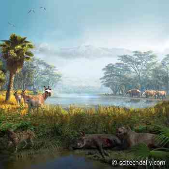 Species Come and Go – Their Ecosystems Persist Over Millions of Years