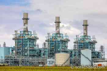 A Sponge to Soak Up Carbon Dioxide From the Air