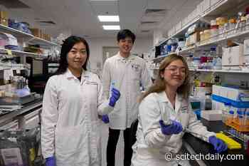 Investigators Link COVID-19 and Risk of Blood Clot Formation