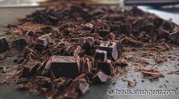 Another chocolate study finds cocoa may be potent obesity treatment