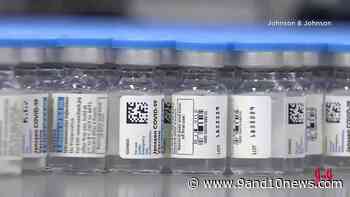 Half of Adults in the US Have Received One Dose Of Coronavirus Vaccine - 9 & 10 News - 9&10 News