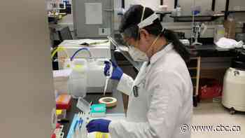 Meet the Canadian doctors working to identify and treat the rare blood clots linked to COVID-19 vaccines