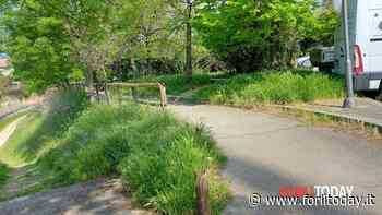 "Incivili, vergognatevi": la situazione lungo il fiume a Porta Schiavonia - ForlìToday