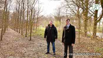 CDU will Stadtwald in Tornesch umgestalten - Hamburger Abendblatt