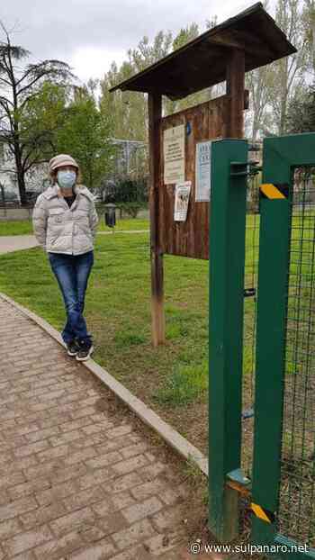 Area cani Soliera: rete bucata durante lo sfalcio dell'erba - SulPanaro | News - SulPanaro