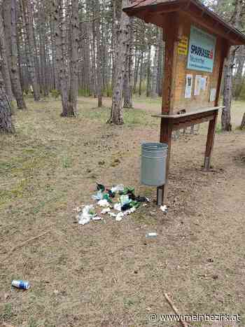 Ärgernis an Neunkirchens Laufstrecke: Und wozu ist wohl der Mistkübel da??? - Neunkirchen - meinbezirk.at