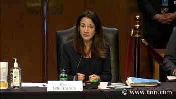 US intel chief gives two primary theories of where Covid-19 transmitted initially