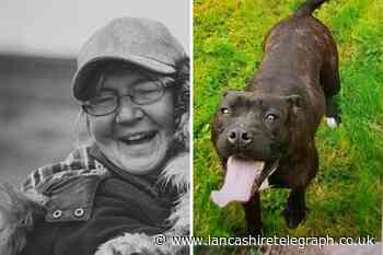 Rossendale group rescue dog that animal charities turned away