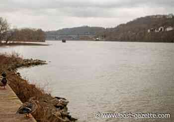River color seen by satellite is helping to reveal condition of water