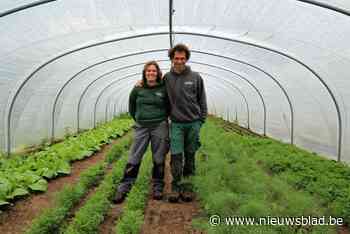 Bart en Tinne van VremdVeld: “Fruit plukken moet een beleving zijn”