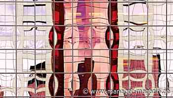 Kapitalismus-Debatte: Das Ende der AG