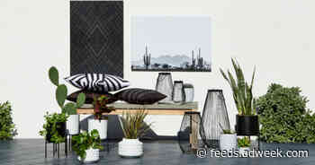 JCPenney Is the Latest Retailer With a New Private Label Home Brand