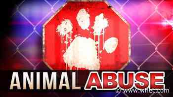 Henrietta man accused of hitting dog outside veterinary clinic