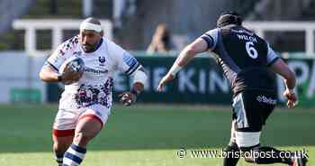 'Leader and mentor' - Bristol Bears make 'massive' new coaching appointment - Bristol Live