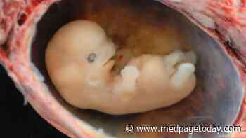 NIH Reverses Ban on Federally Funded Fetal Tissue Research