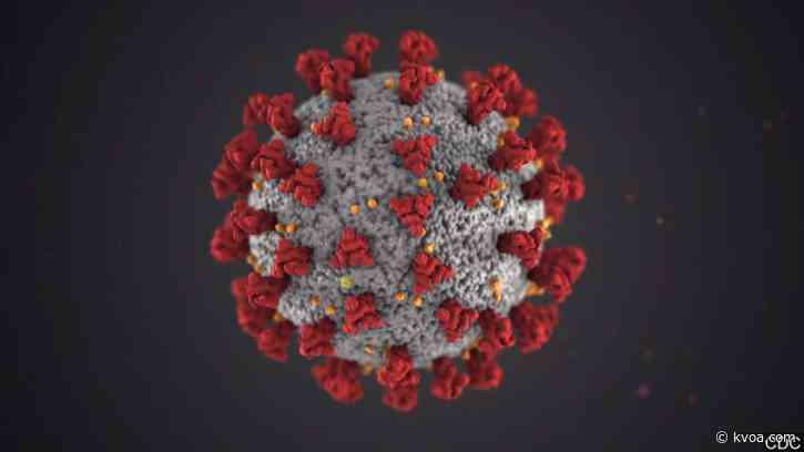 Arizona governor orders ‘vaccine passport’ ban for the state