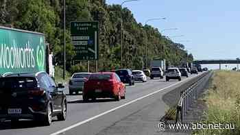 'Short-term pain for long-term gain': Transport Minister's message to motorists stuck in Bruce Highway delays
